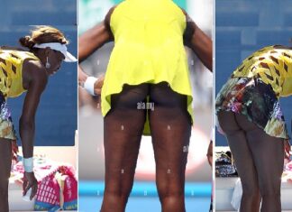 Look at 14 private photos of Venus Williams that got everyone talking — Six talking points Venus Williams raises temperatures as she poses in a bikini pics 2